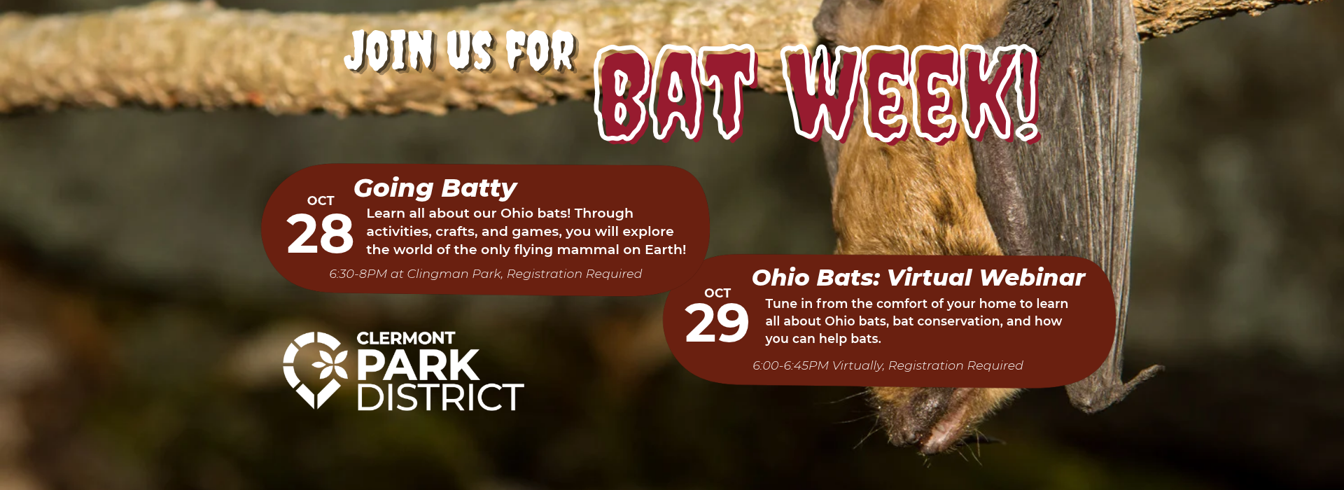 Bat Week October 28/29